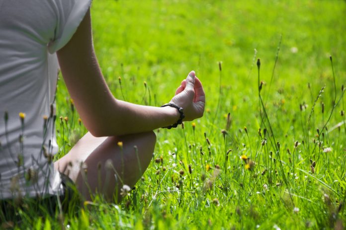 Cómo la naturaleza impacta tu salud mental naturaleza