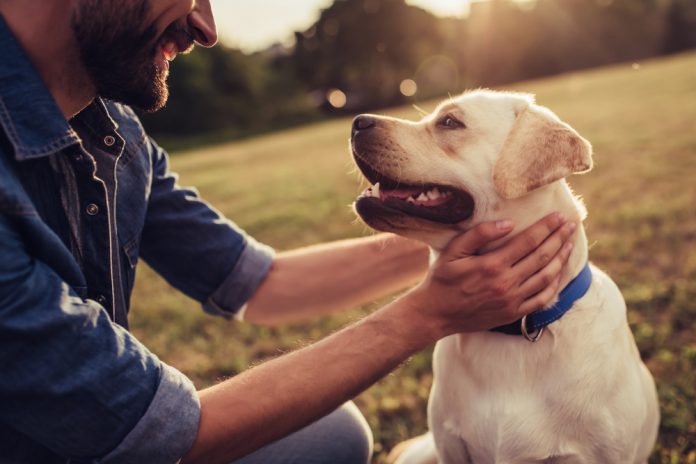 Beneficiosas las mascotas para el manejo de las emociones mascotas