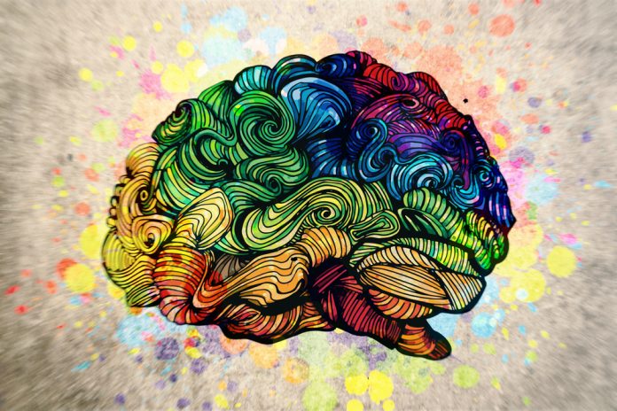 Así funcionan las emociones a nivel cerebral