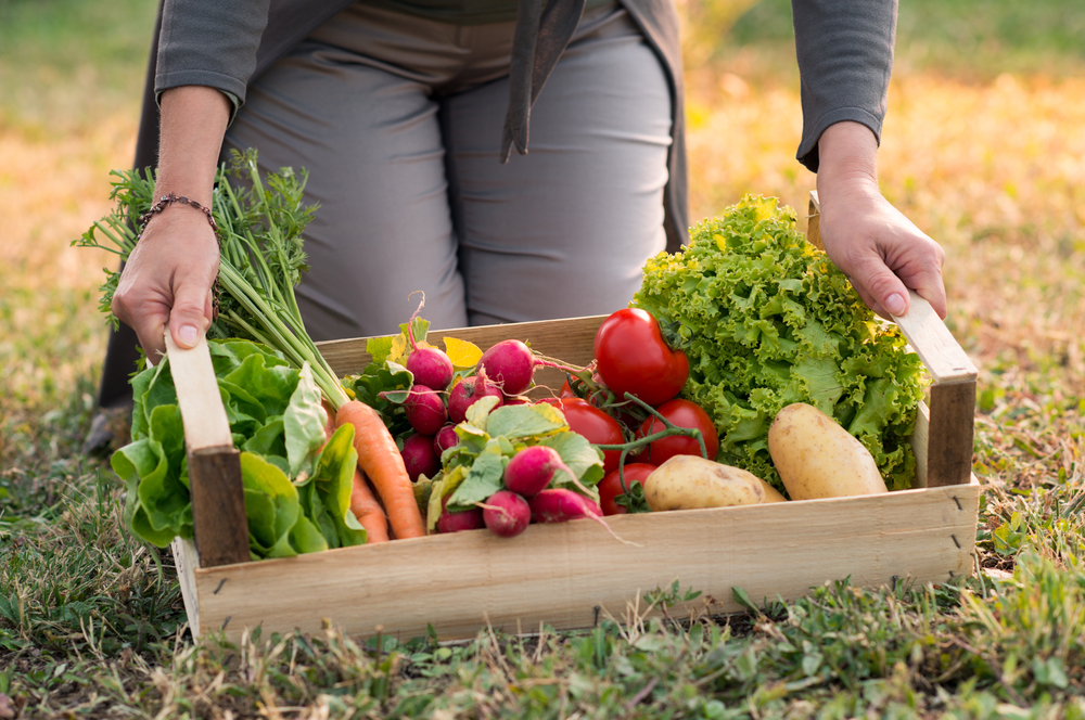 Close,Up,Of,Woman,Holding,Crate,With,Vegetable Inseguridad alimentaria
