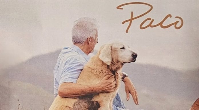 “Un ángel llamado Paco”, la historia de dos seres que sanaron juntos