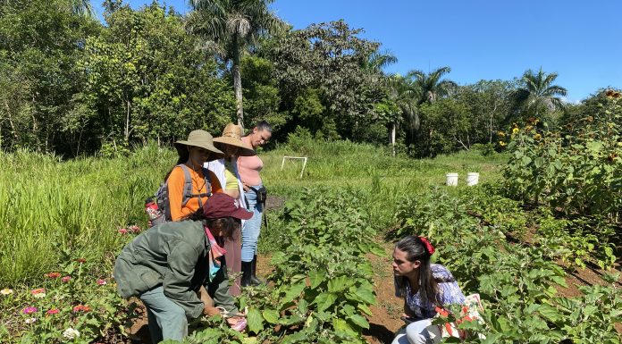 Proyecto El Josco Bravo: siembran para resistir, reconectar y sanar Josco