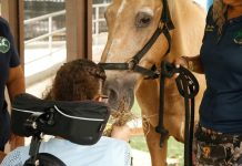 Los beneficios de la equinoterapia para la salud física y mental equinoterapia